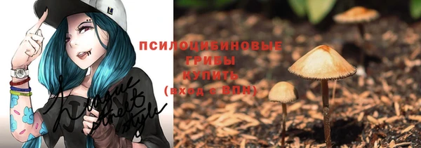PSILOCYBIN Верхнеуральск