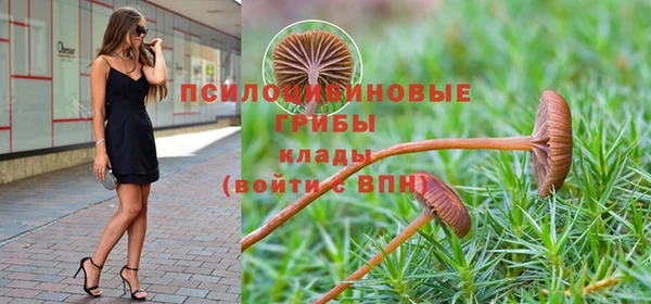 прущие крисы Верхний Тагил