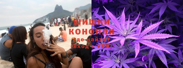 прущие крисы Верхний Тагил